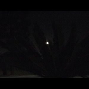 Meet your Posher, Gladys